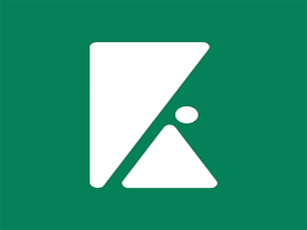 Kash on loan app - Loan Shark Review