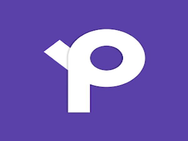 PayFi - Loan Shark Review