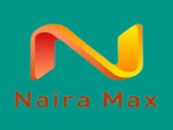 Naira Max - Loan Shark Review