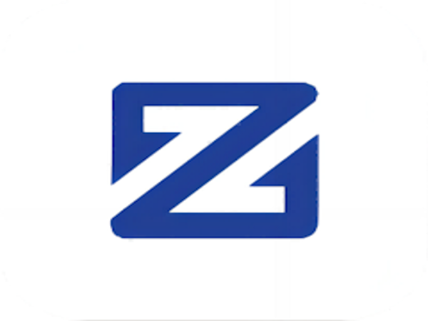 Z Cash - Loan Shark Review