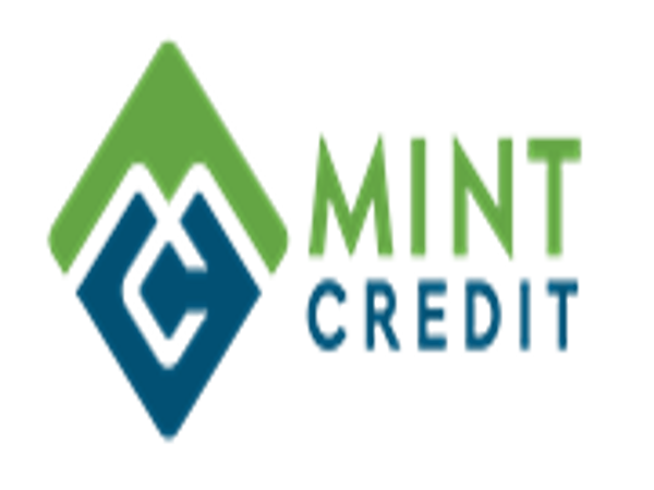  Mint Credit - Loan Shark Review