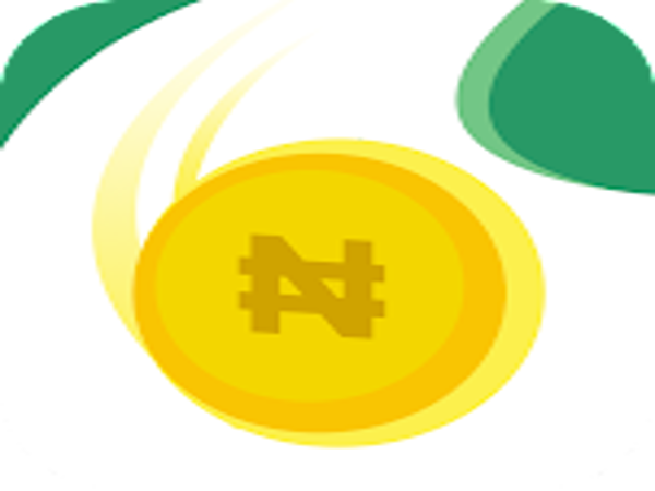 ICoin - Loan Shark Review