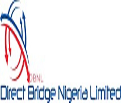 Direct Bridge Loan - Loan Shark Review