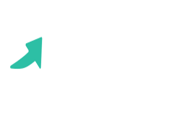 Paynaira - Loan Shark Review