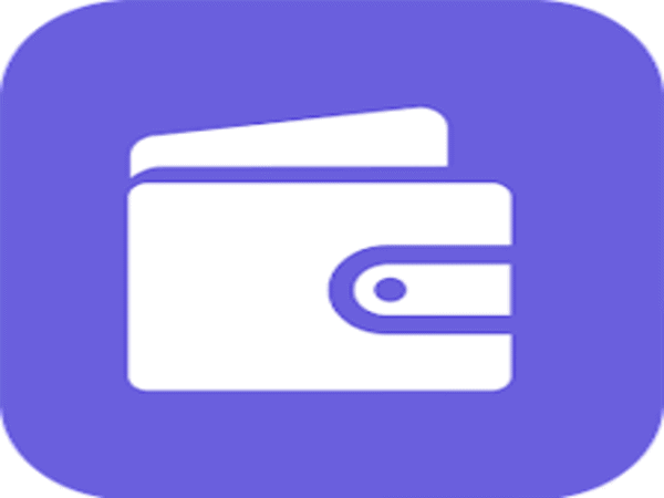 Rapid Naira - Loan Shark Review