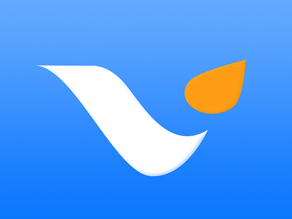Vesta loan  - Loan Shark Review