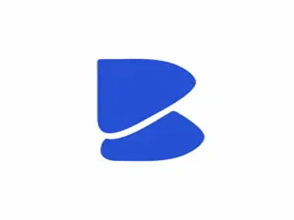 BimzuKash  - Loan Shark Review